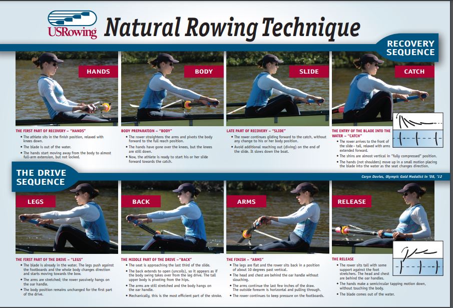 USRowing Technique Poster USRowing Technique Poster